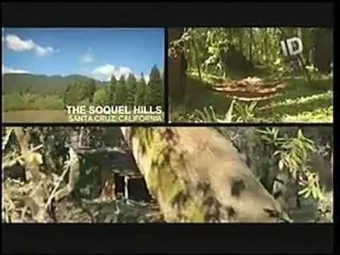 ID INVESTIGAÇÃO DISCOVERY - DEMENTES