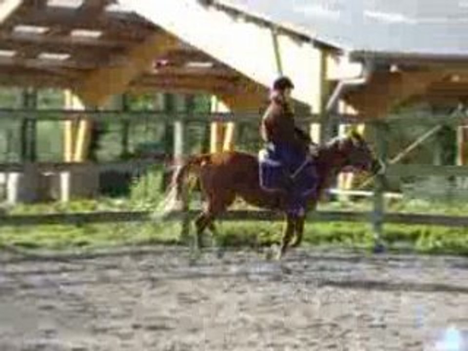 MOV05665