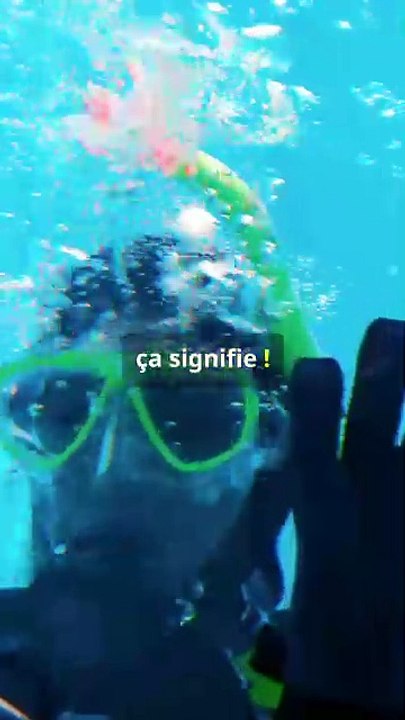 La Flottabilité Neutre : Le Secret des Plongeurs