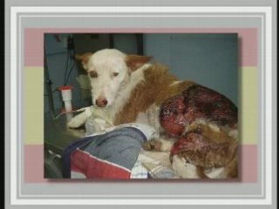 Spanien und seine barbarischen Methoden