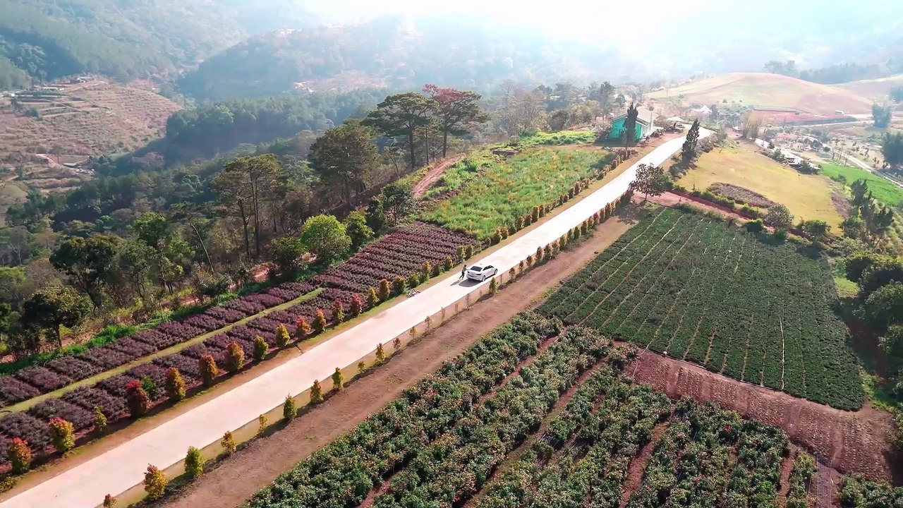 Hạnh Phúc Bị Đánh Cắp 25
