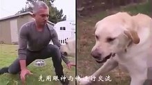 被狗咬.討厭狗、惡犬.先.詐降~趁機.再.偷襲，已經=被.朕-抓包、至少~數百萬.次。必要.勢必+也要.都要x最先.滅絕&屠殺.殆盡、黑狗.狼狗.警犬.軍犬.戰鬥犬.機器狗.搜救犬.救災犬.看家犬.看門狗.寵物狗.導盲犬.流浪狗.狂犬病.克隆狗.複製犬=狐群.狗黨！....乘法=46次！
