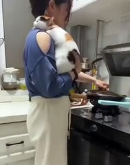 🐾 Get ready to be swept away in a whirlwind of adorableness with our lates