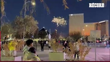 AFICIONADOS AMERICANISTAS INVADEN las VEGAS