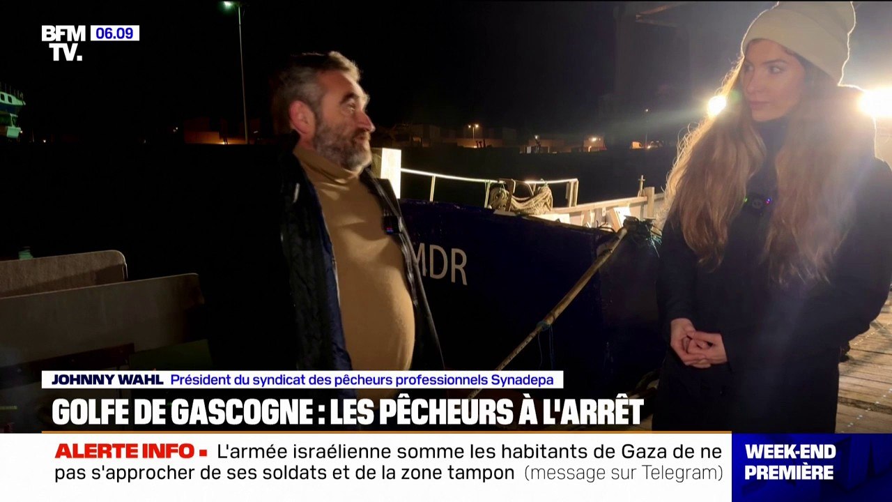 Golfe de Gascogne: les pêcheurs à l'arrêt pour protéger les dauphins