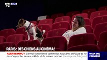 Paris: des chiens au cinéma !