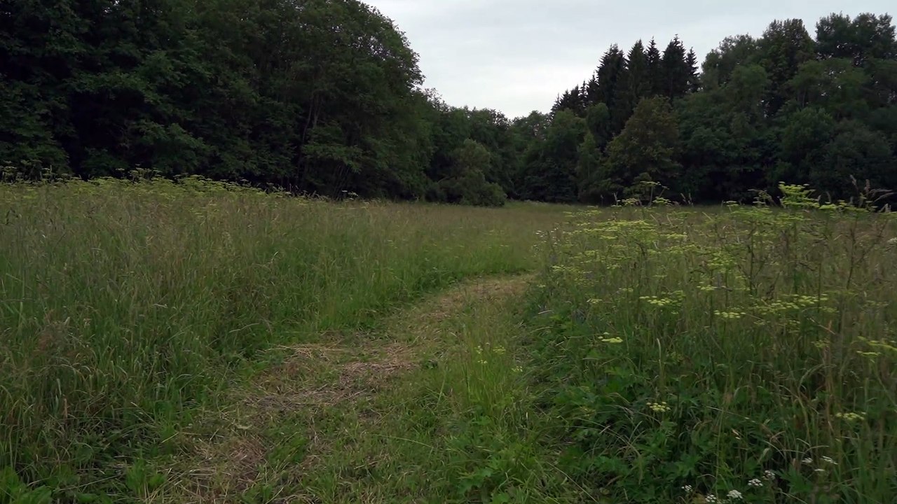 Žalpių akmuo