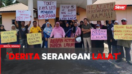 Lima tahun tahan derita serangan jutaan lalat