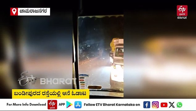 ಬಂಡೀಪುರದ ರಸ್ತೆಯಲ್ಲಿ ಆನೆ ಓಡಾಟ - ವಾಹನ ಸವಾರರ ಪರದಾಟ