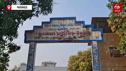 ધરમપુરની શાળામાં મળેલા સડેલા અનાજનો મામલો, મામલદારની ટીમે શાળામાં કરી તપાસ