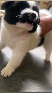 Just teasing people all the time😆