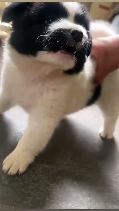 Just teasing people all the time😆