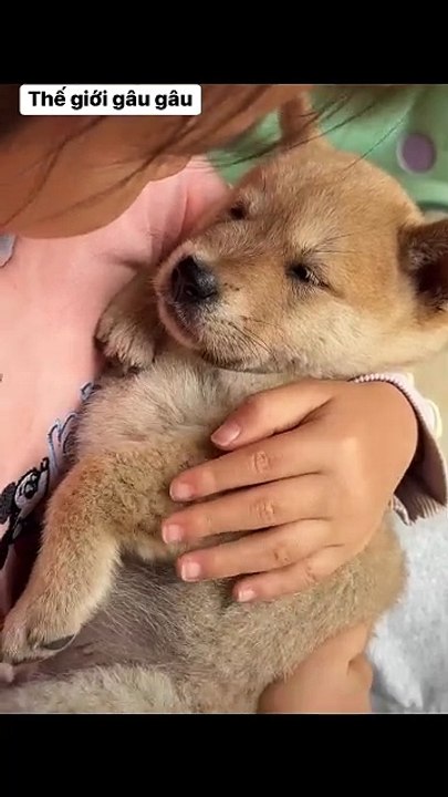 Baby, sleep well