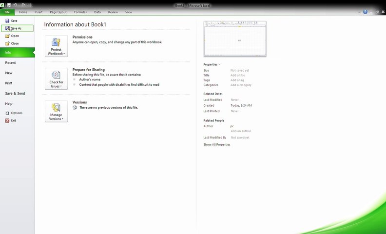 Microsoft Excel