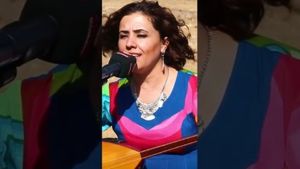 Gotin Zana brîndar e, li ser milê Andok #shorts