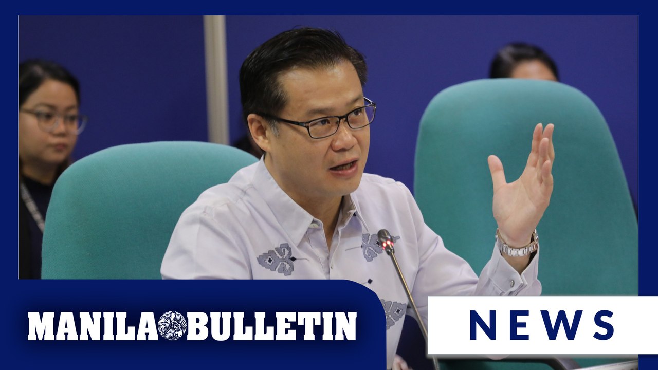 Gatchalian pushes amendment to Teachers Professionalization Act