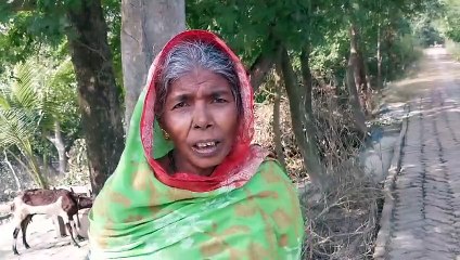 বাড়ির মধ্যে বাঘের বিশ্রাম, আতঙ্কে এলাকার মানুষ