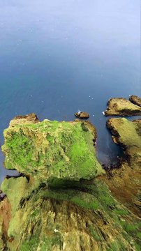 Sebastian Schieren_s short video with ♬ Solas