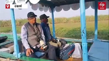 ଚିଲିକାରେ ସରିଲା ପକ୍ଷୀ ଗଣନା, ଗତବର୍ଷ ଅପେକ୍ଷା ଚଳିତ ଥର କମ ସଂଖ୍ୟକ ପକ୍ଷୀ ଆସିଛନ୍ତି