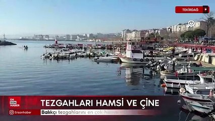 Tekirdağ'da balıkçı tezgahlarını en çok hamsi ve çinekop süsledi