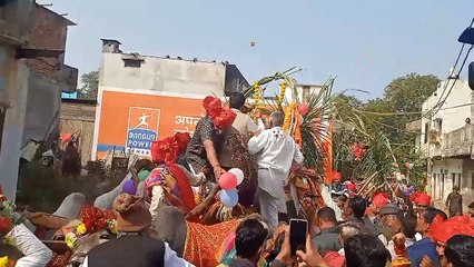 पुराने परंपराओं को कायम रखने के लिए मंदसौर में एक भाई बैल गाड़ियों के जरिए अपनी बहन के यंहा शादी में मोसारा लेकर पहुंचा