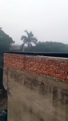 A morning fog weather