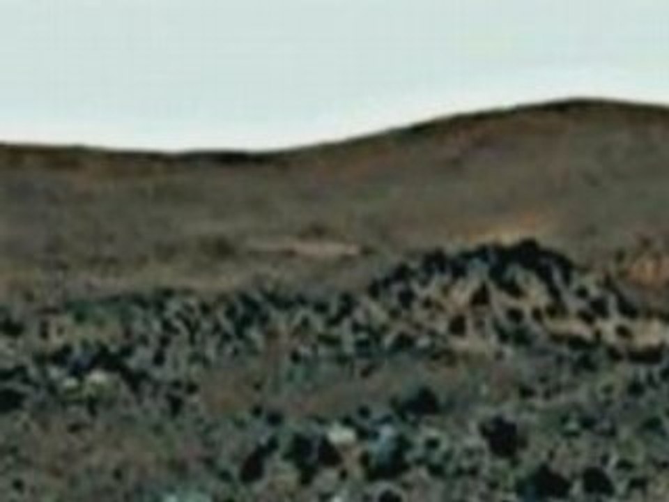 Mars Humans & Primates share Symbiotic life - Part 2