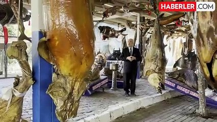 Türkiye Deniz Canlıları Müzesi Öğrencileri Bekliyor