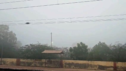 श्रीगंगानगर में शीतलहर और कोहरे ने बढ़ाई मुश्किलें, यातायात पर असर
