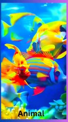 Underwater,fish,#music #trending