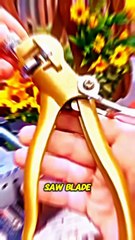 Facts And Stories #facts