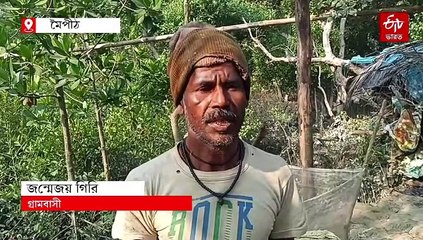বাড়ির উঠোনে বাঘের গর্জন ও আঁচড়ের দাগ, মৈপীঠে ফের আতঙ্ক