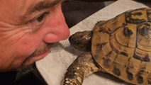 Man thinks a tortoise bite is no big deal until his nose feels it