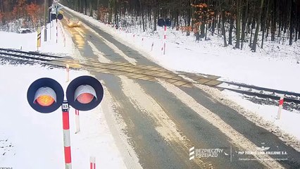 Driver Collides with Moving Train in Poland