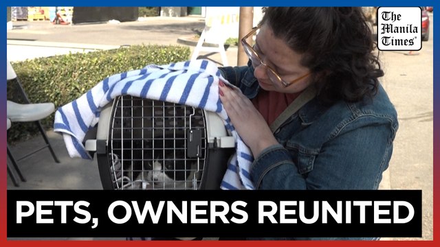 Pets and owners reunited after being separated in Los Angeles fires