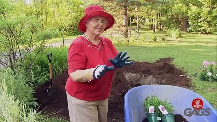 🌹🤣😂Fun overload😍🤣😂🌹