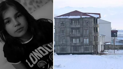 Hakkari'de Eslem'in köpek saldırısında hayatını kaybetmesi sonrası bölgedeki sokak köpekleri toplanıyor