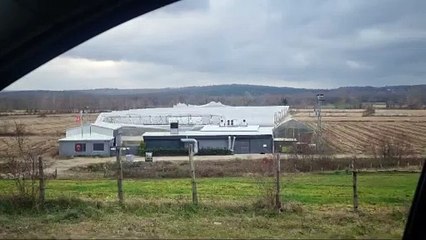 Sinop'ta fırtına seralara zarar verdi