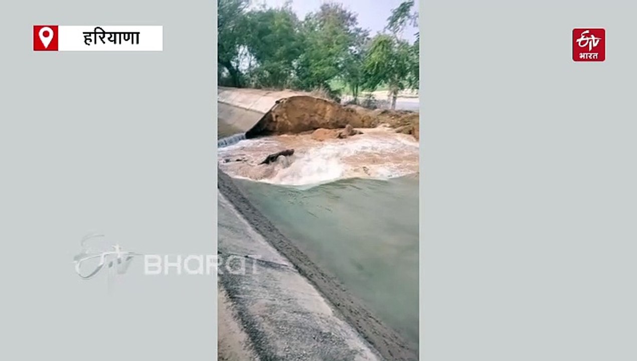 किसानों पर टूटा आफत का पहाड़, फतेहाबाद में नहर टूटने से 50 एकड़ भूमि जलमग्न