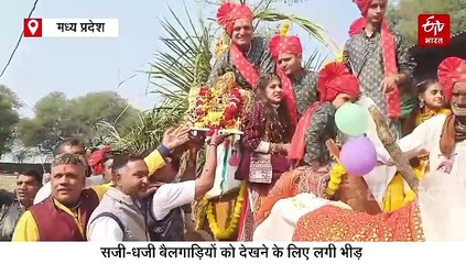 मंदसौर में पुरानी यादों की झलक, पगड़ी बांध बैलगाड़ियों पर पहुंचे भाई, गीतों ने बांधा 'मायरा' का शमा