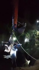 जळगाव जिल्ह्यातील खाडवे येथे विहिरीत बैल गाडी पडल्याने बैल मुत्यु