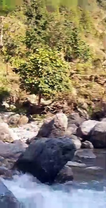 Angling in Nepal | Hook and Rod Fishing in Small River |