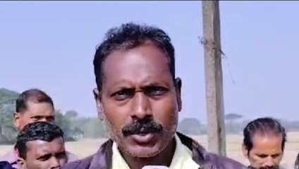 ୧୧କେଭି ବିଦ୍ୟୁତ୍ ତାର ଛିଣ୍ଡି ୫ଟି ଗୋରୁଙ୍କ ମୃତ୍ୟୁ