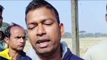 ୧୧କେଭି ବିଦ୍ୟୁତ୍ ତାର ଛିଣ୍ଡି ୫ଟି ଗୋରୁଙ୍କ ମୃତ୍ୟୁ
