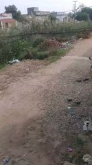 Ecco il mio ultimo video