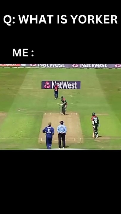 WHAT IS YORKER ❤️ | @MSWRITES | #Cricket #CricketShorts #CricketLovers #CricketHighlights #CricketFans #CricketWorld #CricketLife #CricketPassion #CricketVibes #CricketFever #CricketAddict #CricketShots #CricketMatch #CricketSkills #CricketLegends #Cricke