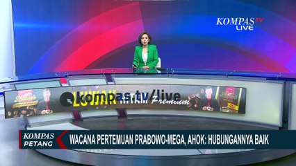Soal Hubungan Megawati dan Prabowo, Ahok: Megawati Dukung Pemerintah, Kritik dengan Solusi