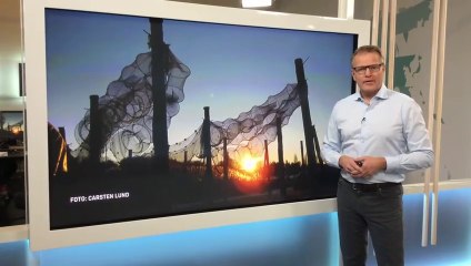 Vintersolhverv: I morgen er det årets korteste dag |2015| DR