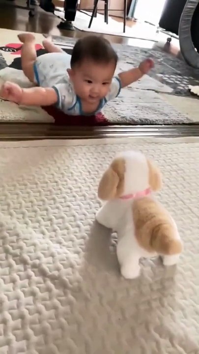 Smilling Small Kitten Plush / Stuff Toy Doll | Stuffed Cats For Kids Girls Boys Gift For Valentines Birthday – 35 Cm (random Color)