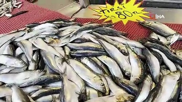 Karadeniz’in gizli hazinesi: Tirsi